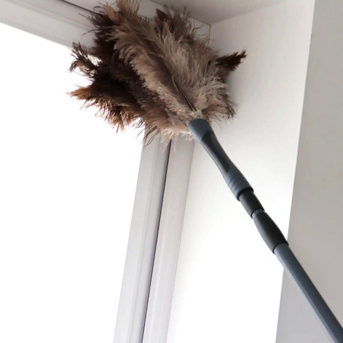 Extendable ostrich feather - ostrich,