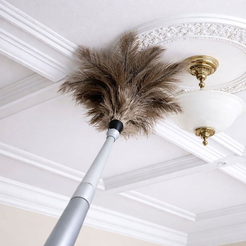 Ostrich feather duster with - ostrich,