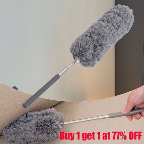 Extendable feather duster - duster, long