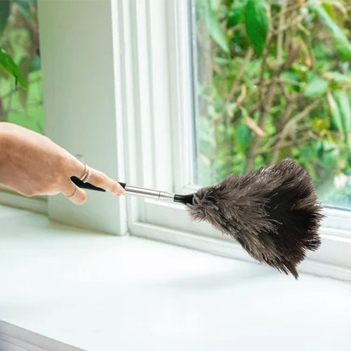 Extendable ostrich feather - extendable,