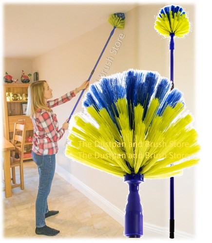 Extendable cobweb brush domed - cobweb,