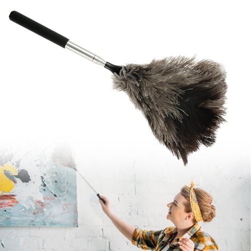 Extendable ostrich feather - extendable,